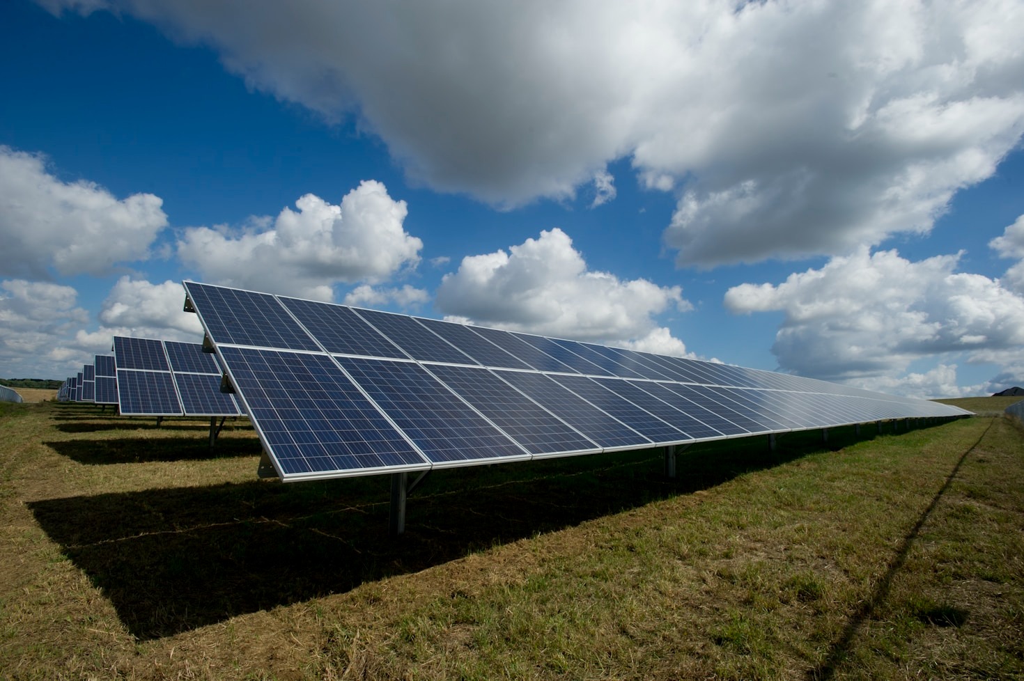 Por que investir em créditos de carbono é vantajoso para sua empresa